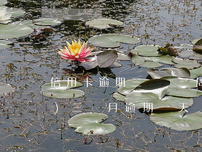 信用卡逾期三個賬單周期(信用卡連續(xù)三個月逾期一天)