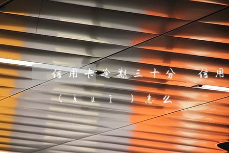 信用卡逾期三十分鐘(信用卡逾期三十分鐘會(huì)怎么樣)
