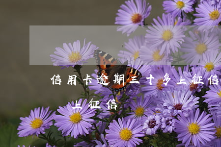 信用卡逾期三十多上征信(信用卡逾期30元會上征信嗎)
