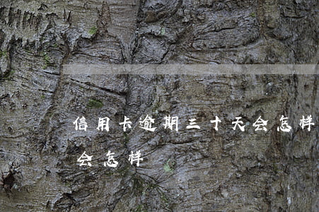 信用卡逾期三十天会怎样(信用卡逾期三十天会怎样)