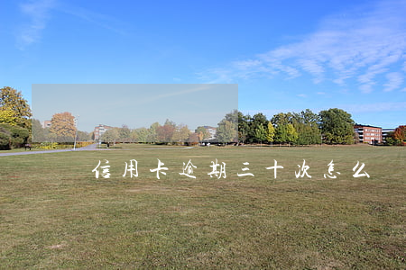 信用卡逾期三十次怎么辦