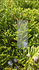 信用卡逾期三千一年被催收(做了三年催收的經(jīng)歷信用卡逾期催收說(shuō)要上門)