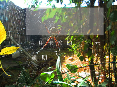 信用卡逾期三千元沒還上怎么辦(信用卡2千逾期沒還)