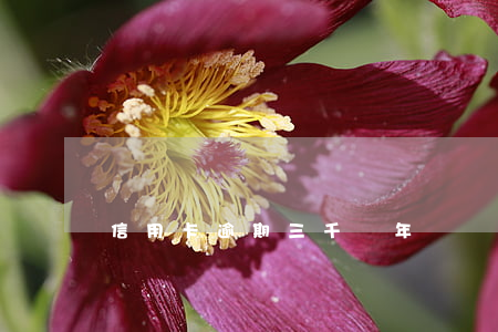 信用卡逾期三千兩年