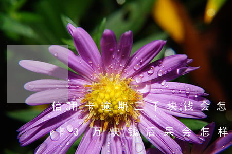 信用卡逾期三千块钱会怎么样 我,逾期的信用卡3万块钱后果会怎样