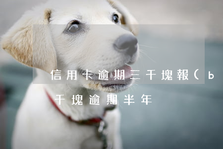 信用卡逾期三千塊報(bào)警(信用卡3千塊逾期半年)