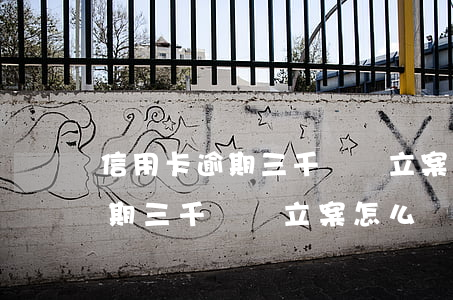 信用卡逾期三千塊錢立案怎么辦-信用卡逾期三千塊錢立案怎么辦理