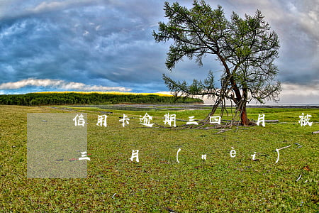 信用卡逾期三四個月會被起訴嗎(信用卡逾期三個月內(nèi)會被起訴嗎)