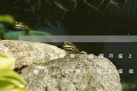 信用卡逾期三四個月還上還能用嗎-信用卡逾期三四個月還上還能用嗎有影響嗎