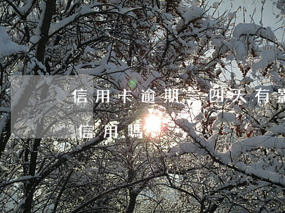 信用卡逾期三四天有影響嗎(逾期四天會影響信用嗎)
