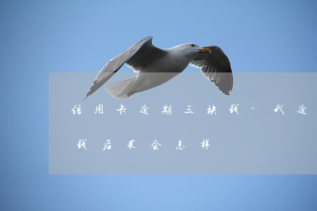 信用卡逾期三块钱-我,逾期的信用卡3万块钱后果会怎样