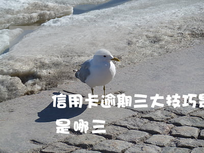信用卡逾期三大技巧是(信用卡逾期三大技巧是哪三個)