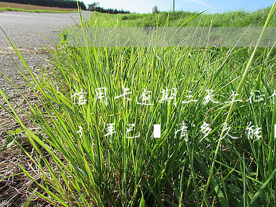 信用卡逾期三天上征信多久能解除(征信逾期3年已還清多久能辦信用卡)