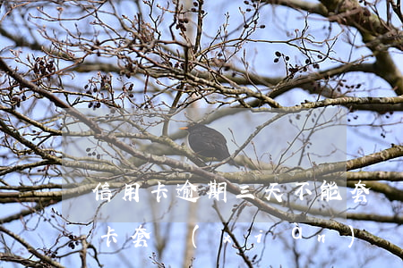 信用卡逾期三天不能套現(xiàn)(信用卡套現(xiàn)兩三天沒有到賬是什么情況啊)