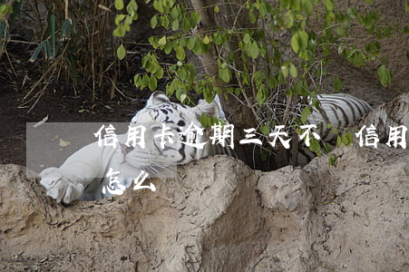 信用卡逾期三天不還(信用卡逾期三天不還會怎么樣)