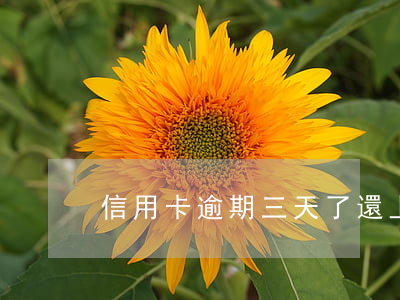 信用卡逾期三天了還上了 逾期幾天還信用卡