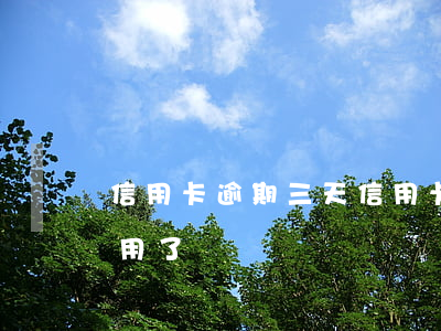 信用卡逾期三天（信用卡逾期3000暫停使用了）