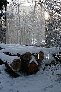 信用卡逾期三天內(nèi)影響信用么(每個月信用卡逾期三天)