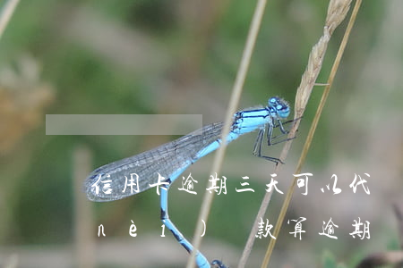 信用卡逾期三天可以代還嗎(信用卡3天內(nèi)還款算逾期嗎)
