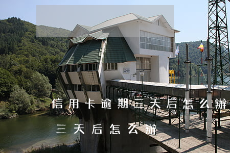 信用卡逾期三天后怎么辦理分期（信用卡逾期三天后怎么辦）