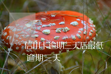 信用卡逾期三天后最低還款可以嗎-信用卡 逾期 三天