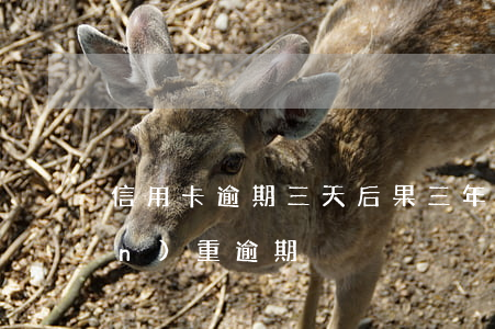 信用卡逾期三天后果(三年前信用卡嚴(yán)重逾期)