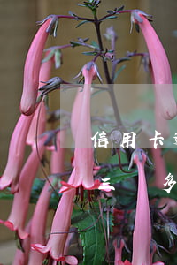 信用卡逾期三天后還能借款嗎 欠信用卡逾期三個多月了還錢會有什么影響