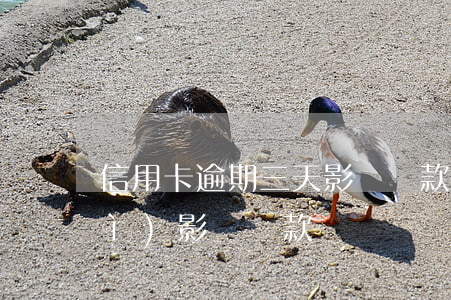 信用卡逾期三天影響貸款(逾期三天會(huì)影響貸款嗎)