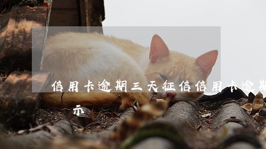 信用卡逾期三天征信(信用卡逾期三天征信會顯示嗎)