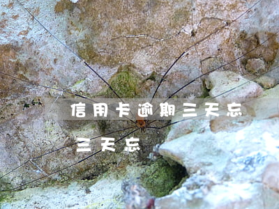 信用卡逾期三天忘記還了怎么辦（信用卡逾期三天忘記還）