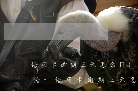 信用卡逾期三天怎么協(xié)商不上征信-信用卡逾期三天怎么協(xié)商不上征信記錄
