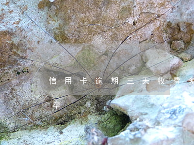 信用卡逾期三天收費多少(信用卡逾期收費標準)