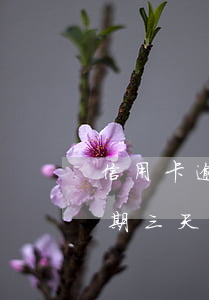 信用卡逾期三天是從哪天開始算-信用卡逾期三天是從哪天開始算的