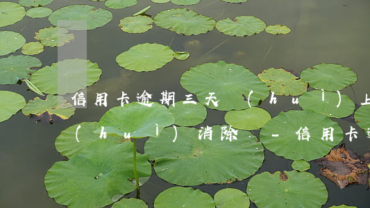 信用卡逾期三天會(huì)上不良記錄會(huì)消除嗎-信用卡逾期三天會(huì)上不良記錄會(huì)消除嗎知乎