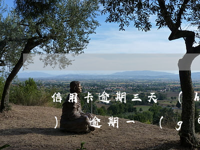 信用卡逾期三天會(huì)凍結(jié)嗎(逾期一個(gè)月信用卡被凍結(jié))