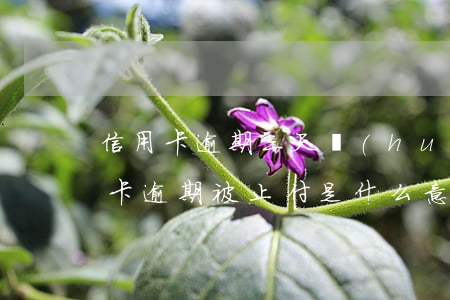 信用卡逾期三天會(huì)被止付嗎(信用卡逾期被止付是什么意思)