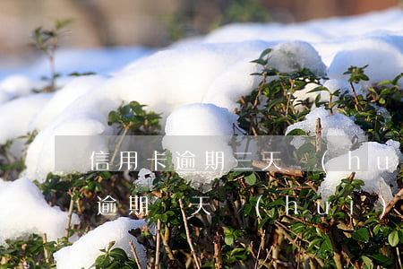 信用卡逾期三天會(huì)降額嗎(信用卡逾期兩天會(huì)降額度嗎)