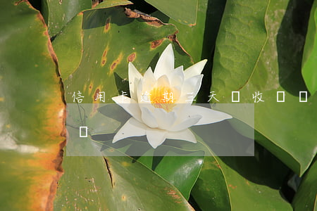 信用卡逾期三天會收費嗎(信用卡3天算逾期嗎)