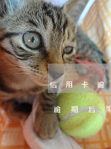 信用卡逾期三天有不良記錄嗎(三個月信用卡逾期后果)