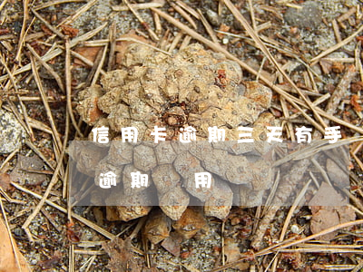 信用卡逾期三天有手續(xù)費嗎(信用卡 逾期 費用)