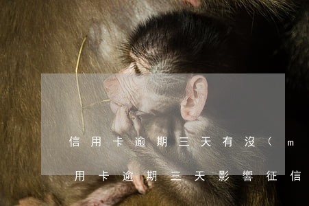 信用卡逾期三天有沒(méi)有影響(還信用卡逾期三天影響征信嗎)
