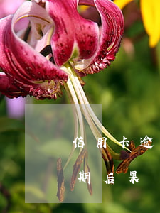信用卡逾期三天有沒有問題(三個月信用卡逾期后果)