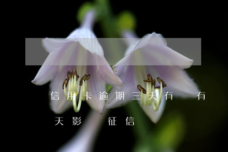 信用卡逾期三天有沒有關系(還信用卡逾期三天影響征信嗎)