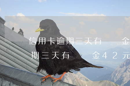 信用卡逾期三天有滯納金42元-信用卡逾期三天有滯納金42元嗎