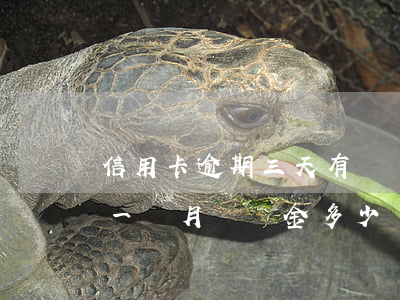信用卡逾期三天有違約金么(3萬信用卡逾期一個月違約金多少)