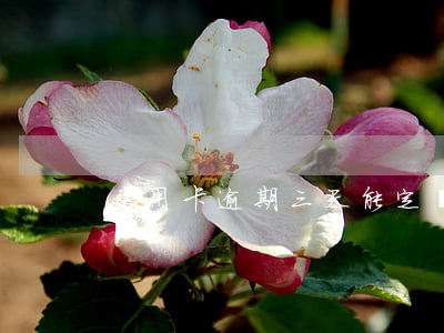 信用卡逾期三天能定機(jī)票嗎