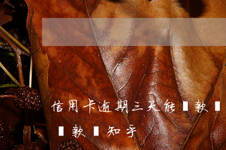信用卡逾期三天能貸款嗎(信用卡逾期三天能貸款嗎知乎)