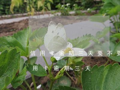 信用卡逾期三天要不要緊(每個(gè)月信用卡逾期三天)