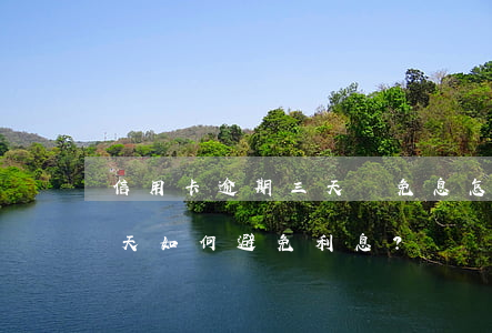 信用卡逾期三天還免息怎么辦，信用卡逾期三天如何避免利息？