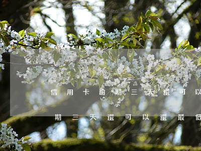 信用卡逾期三天還可以還最低嗎-信用卡逾期三天還可以還最低嗎?